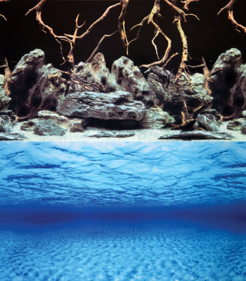 Aquarium Background Sea View/rock Wood 60cm – PETQuarters