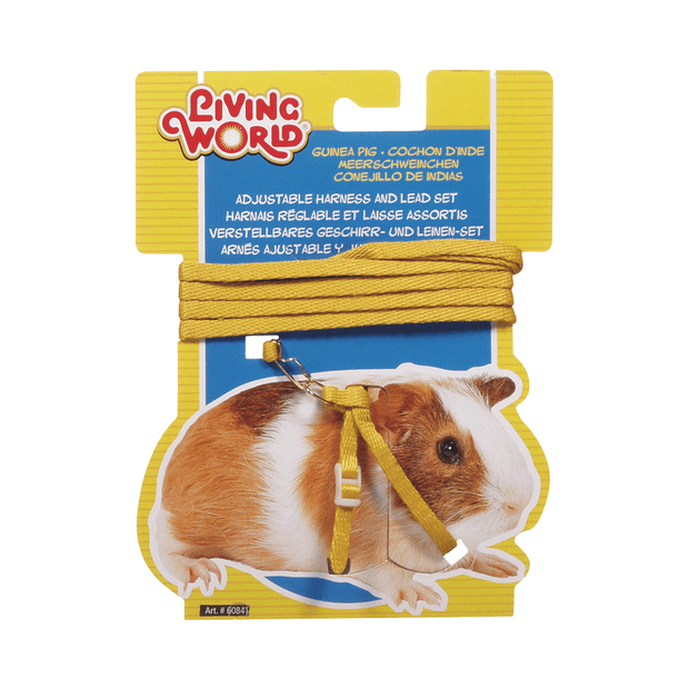 Living World Guinea Pig Harness and Lead