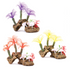 Soft Coral With Plants Medium