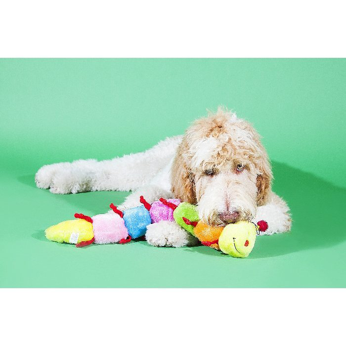 Zippypaws Caterpillars Large W/ Squeakers 50cm
