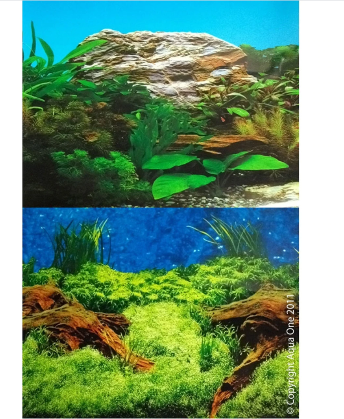 Aquarium Background Stone Pm