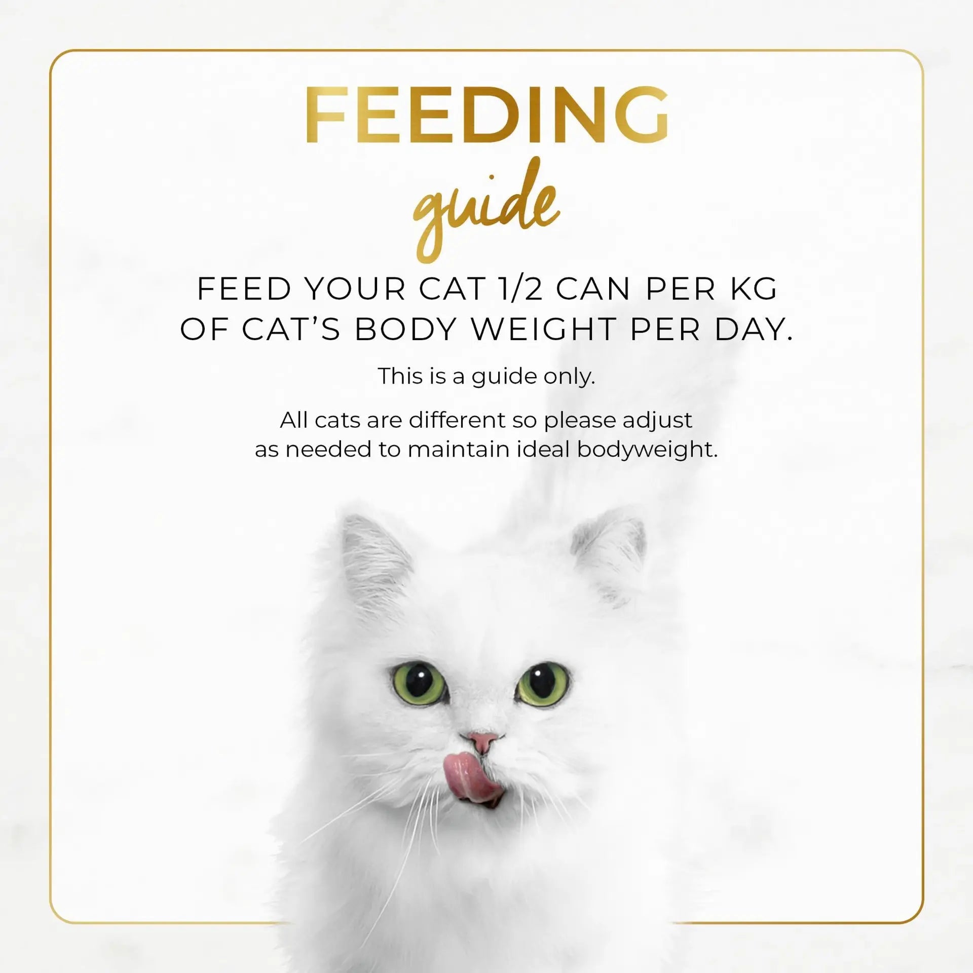 Fancy Feast 85g Classic Senior Chicken
