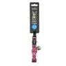 Caat Nylon Cat Collar Kitten