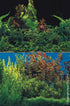 Aquarium Background Plant/plant 30cm Pm