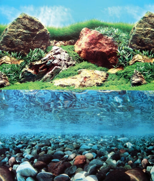 Aquarium Background Stone/Grass Pm