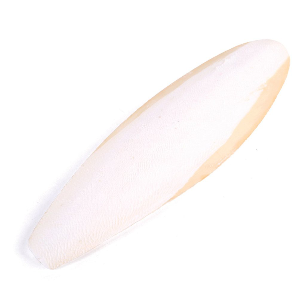 Small Cuttlebone Kazoo Cuttlebone Natural – PETQuarters