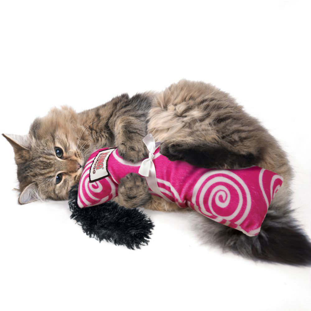 Kong Cat Kickeroo Swirl Pattern