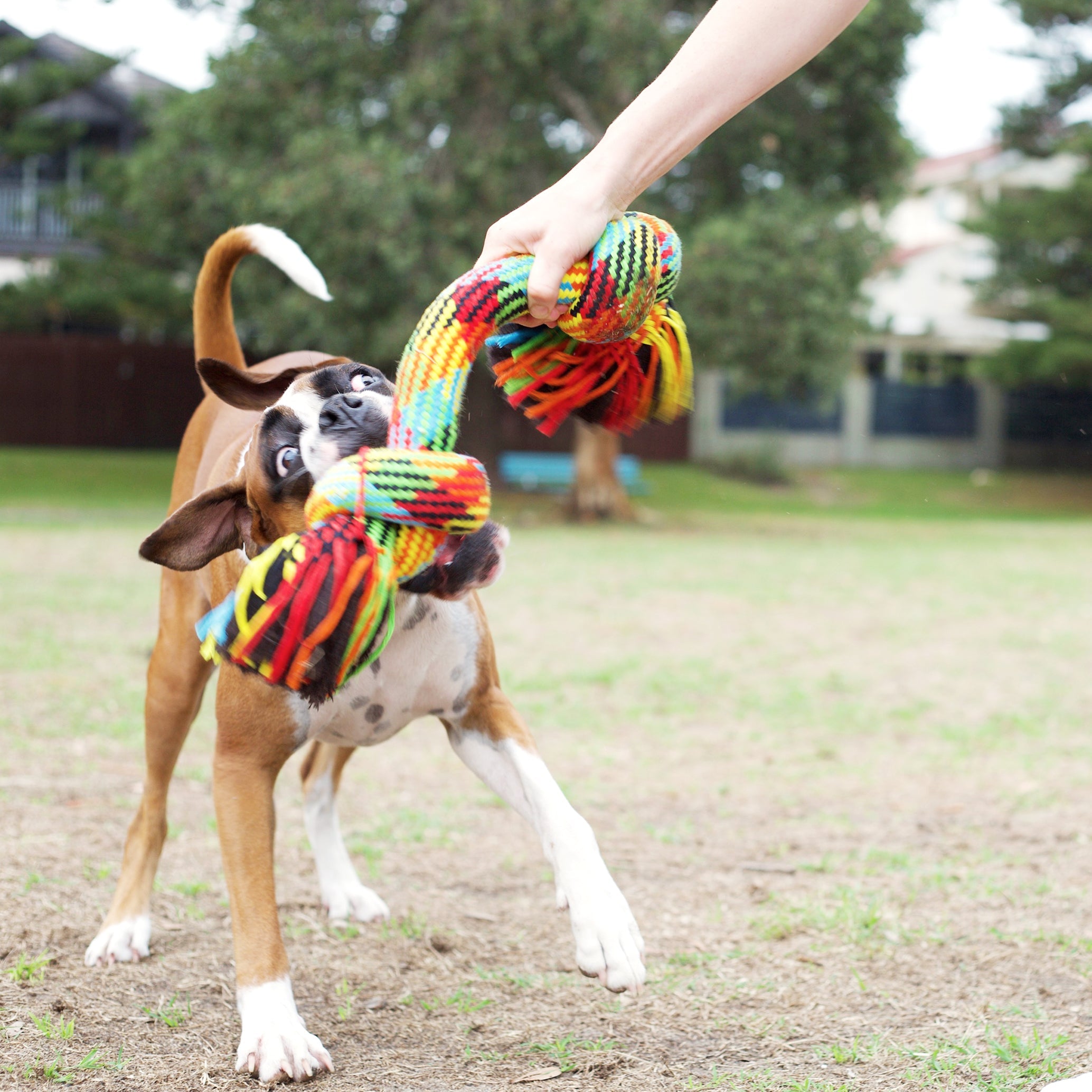 Braided Rope Knot Bone