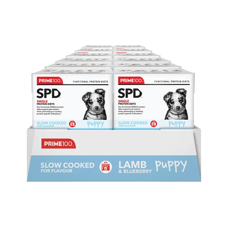 Prime100 Slow Cooked Lamb and Blueberry Puppy 354g
