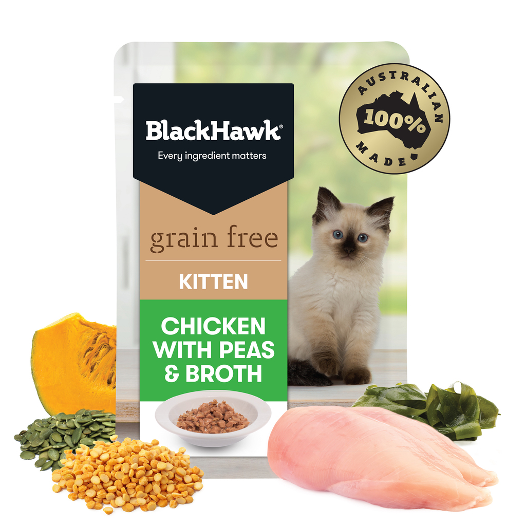 Black Hawk Cat Wet Kitten Chick/Peas/Broth