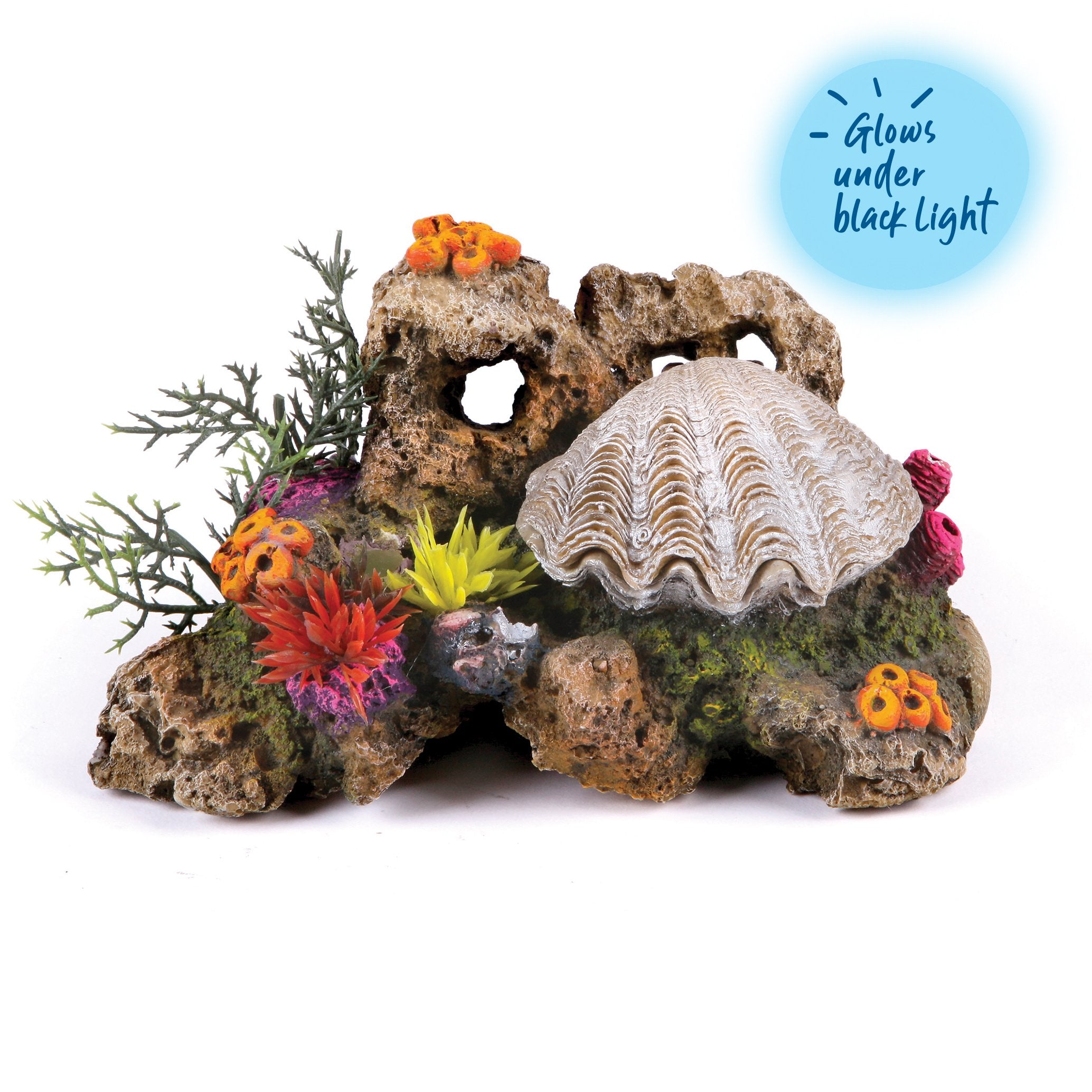 Action Clam With Coral And Plants Medium