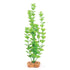 Plastic Plant Leaf Green