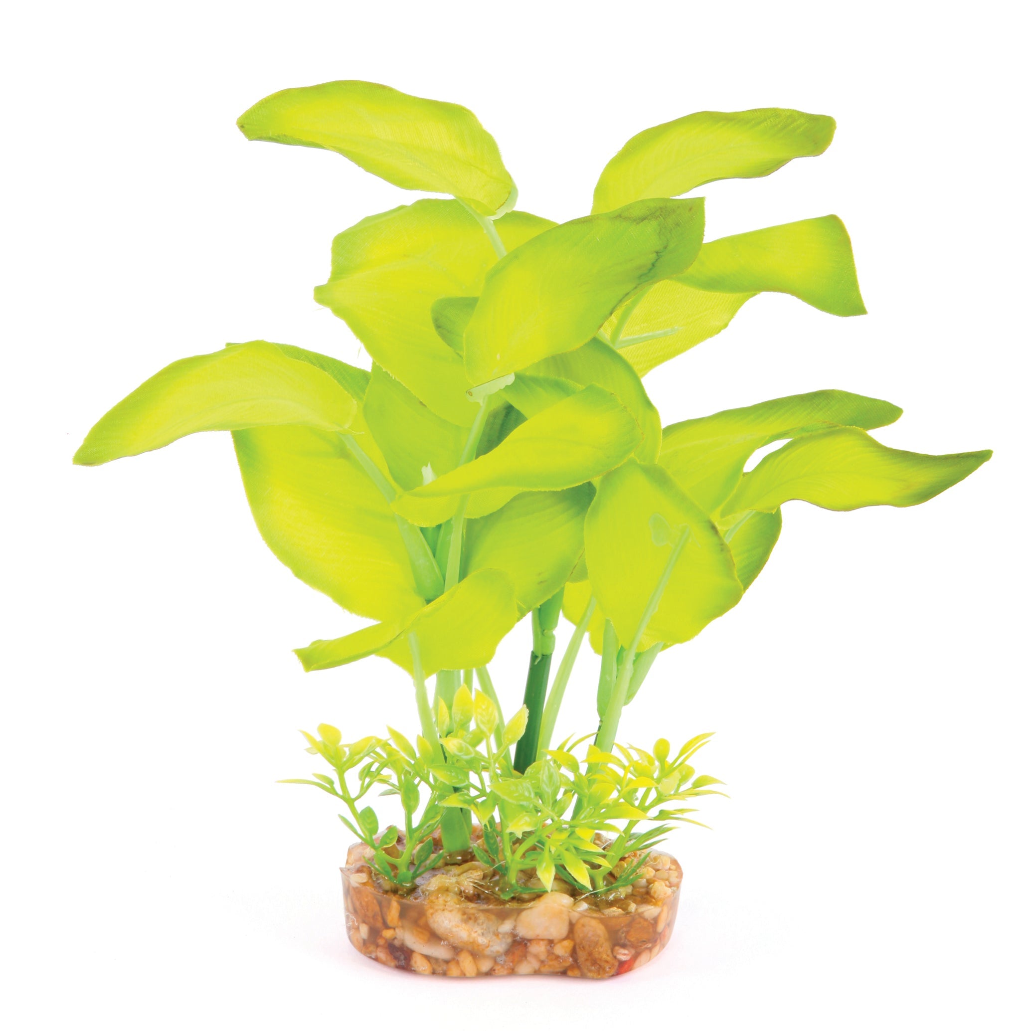 Silk Plant Leaf Green