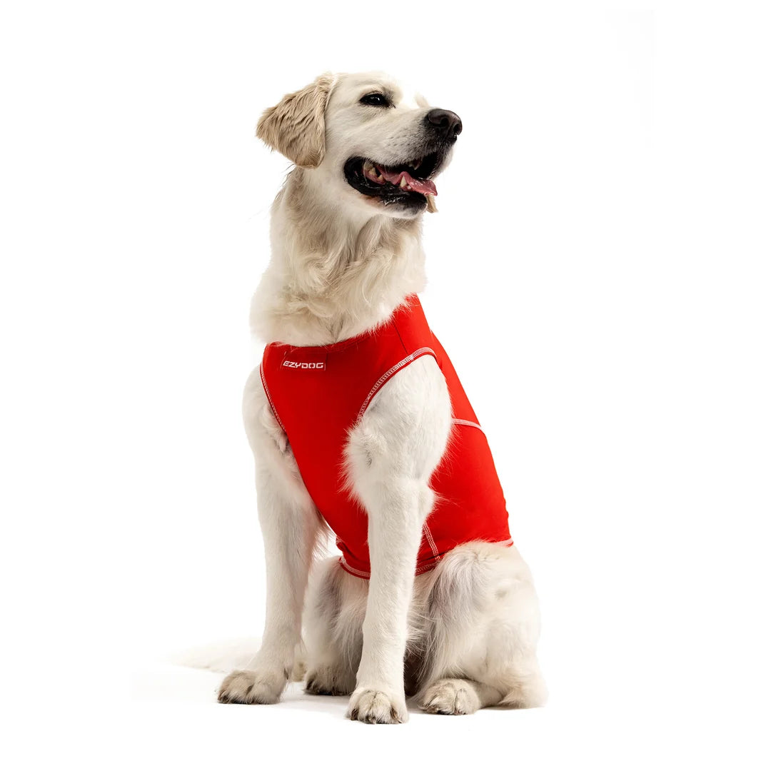 EzyDog Rash Shirt Red