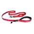 Ezydog Lead Trainer 25