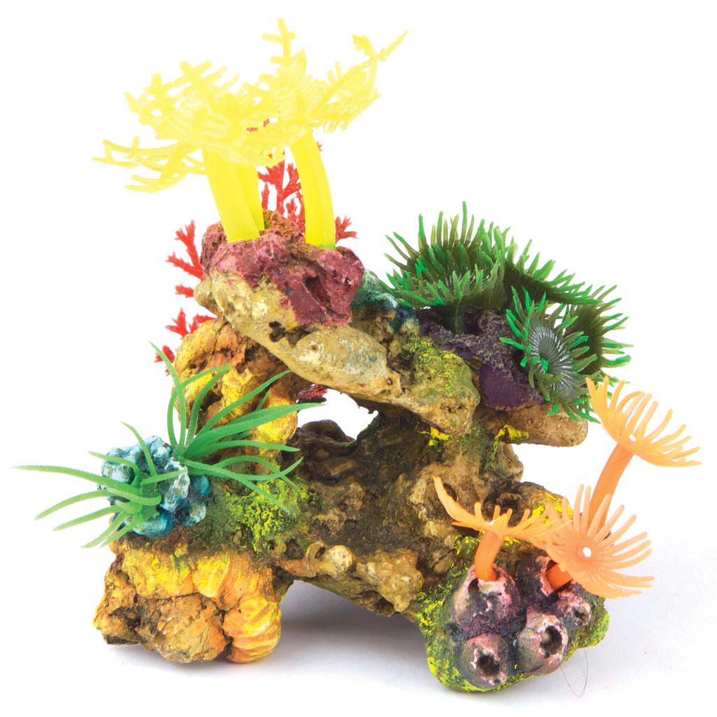 Soft Coral With Plants Mini