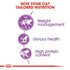 Royal Canin Cat Sterilised Adult Dry Cat Food 2kg