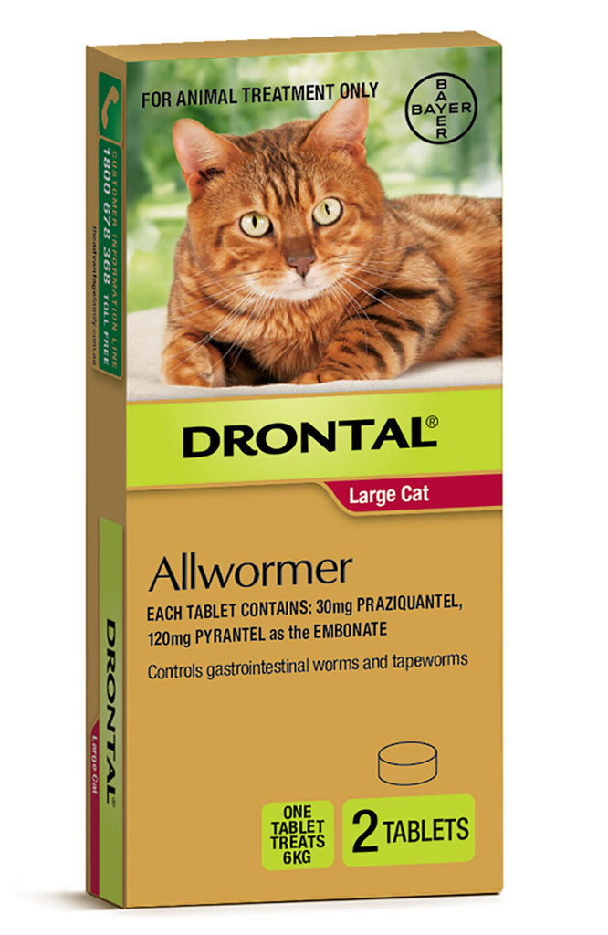 Drontal Cat 6kg 2pk