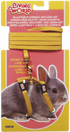 Living World Dwarf Rabbit Harness and Lead