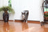 Pet Door Staywell 200 White