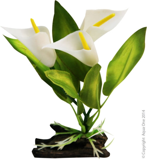 Plastic Plant Betta Calla Lily