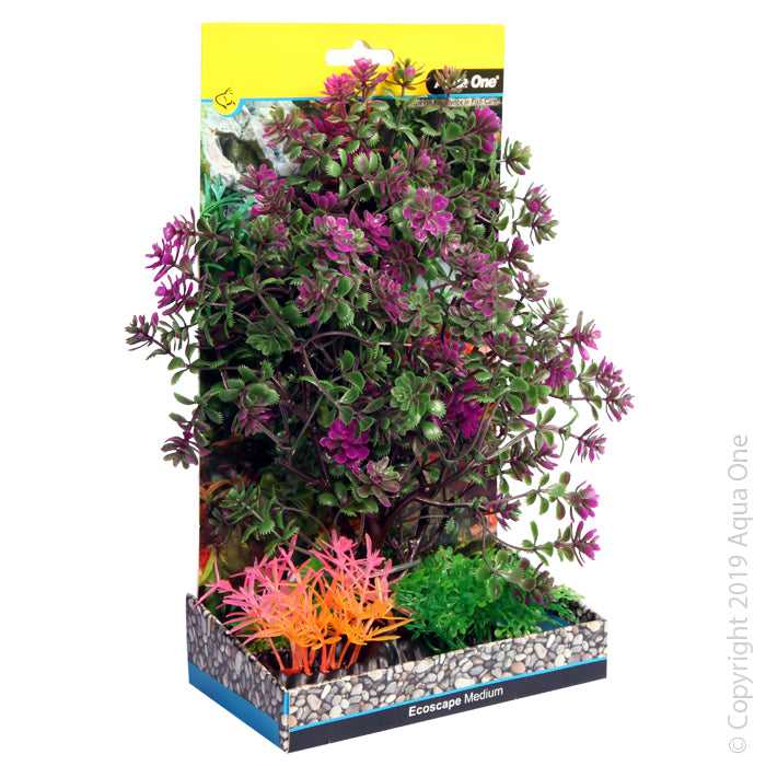 Ecoscape Medium Catspaw Tree Purple