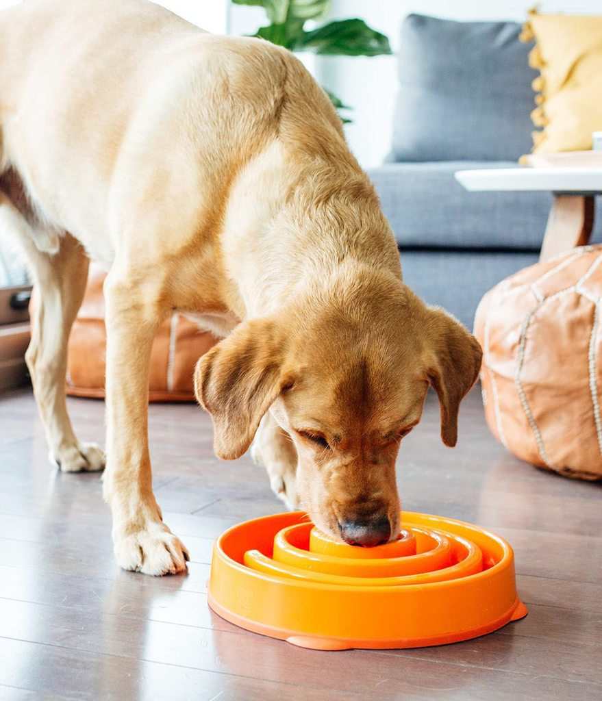 Oh Go Slow Bowl Small Orange