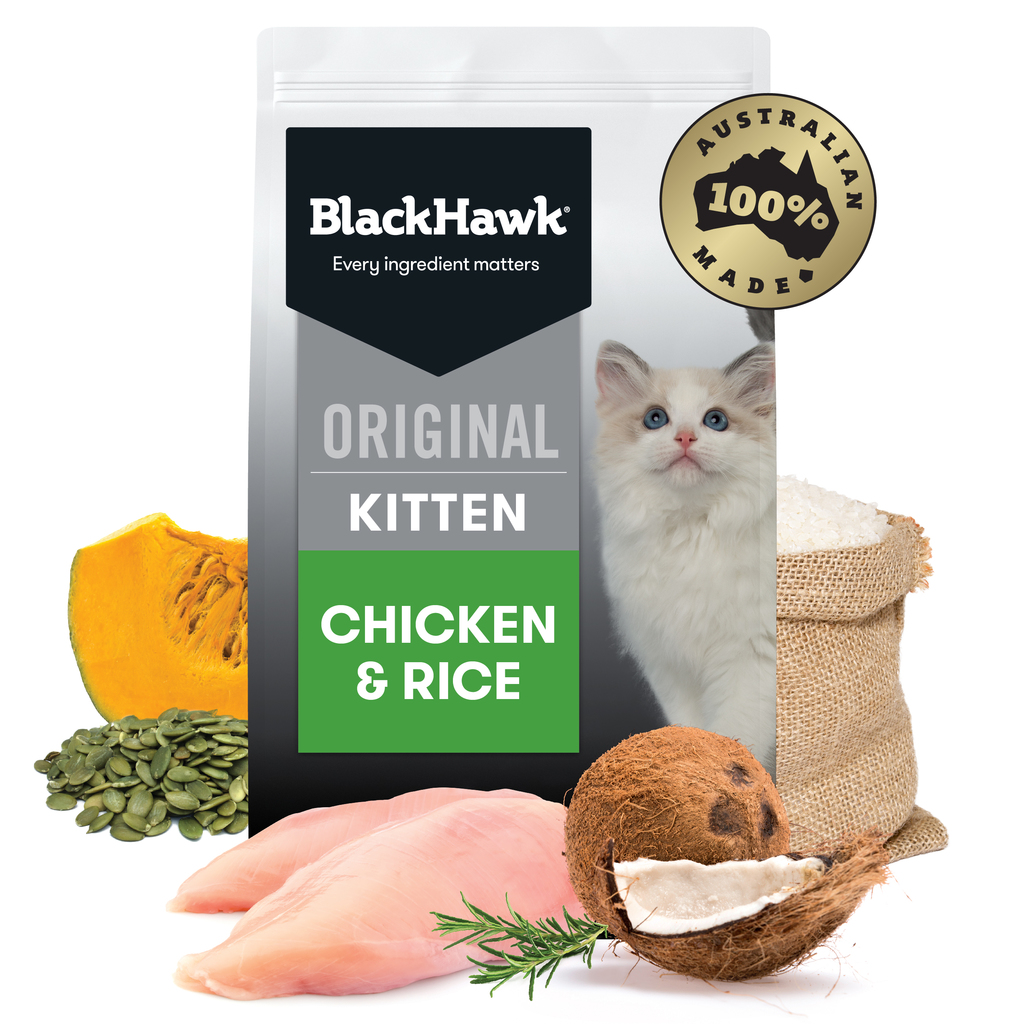 Black Hawk Cat Kitten 3kg