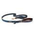 Ezydog Lead Trainer 25