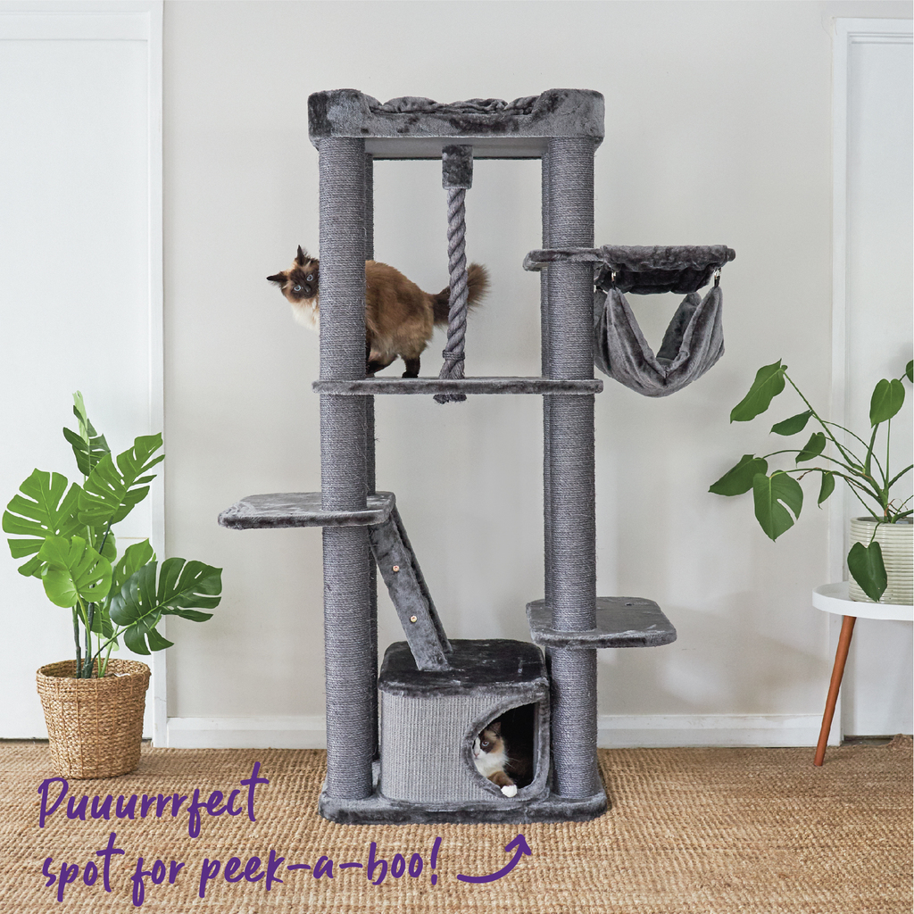 Scratcher Kitty Climb Playground