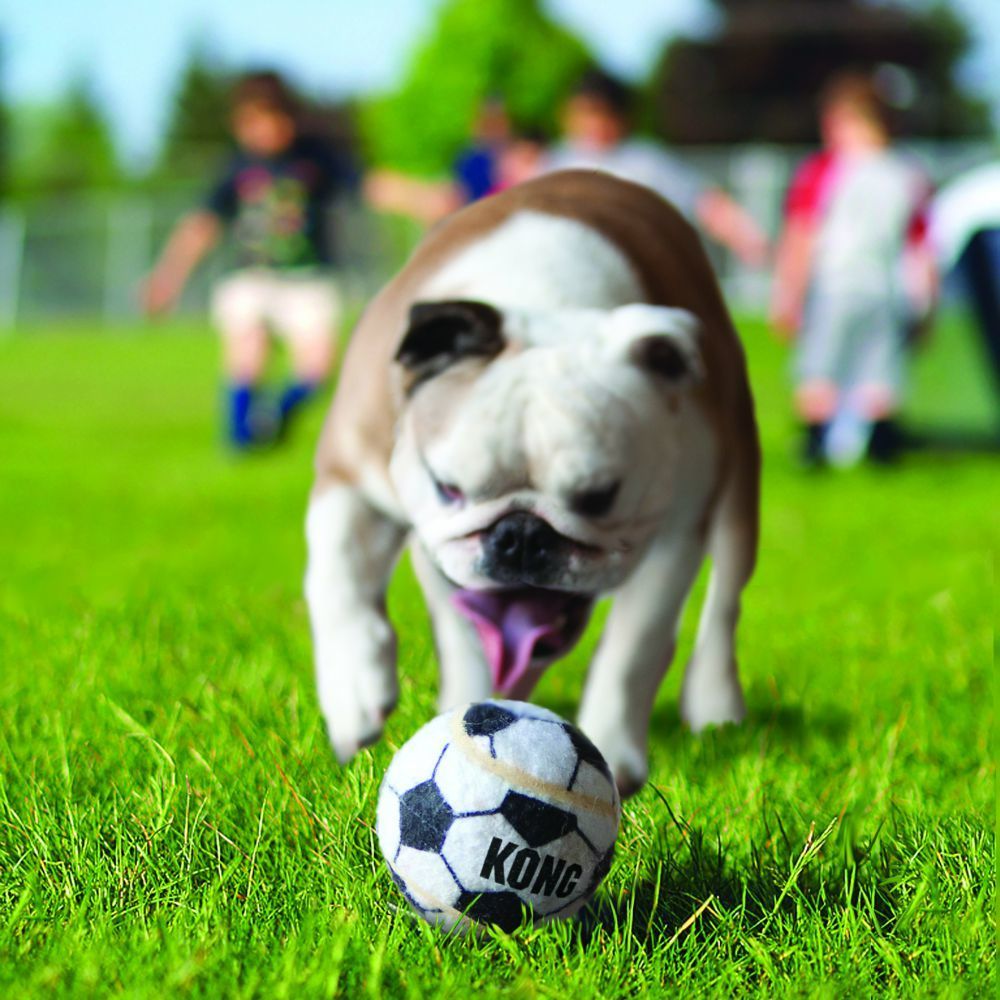 Kong Toy Sport Balls Medium 3pk