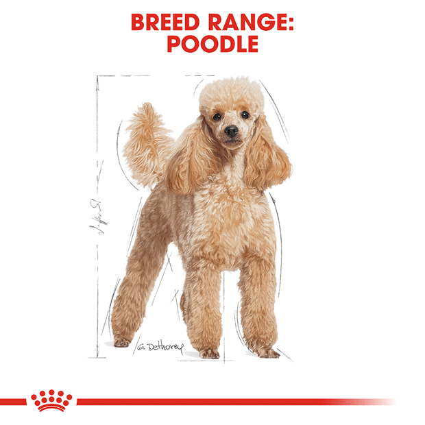 Royal Canin Dog Dry Poodle 7.5kg
