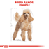 Royal Canin Dog Dry Poodle 7.5kg