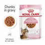 Royal Canin Cat Sterilised Kitten Gravy