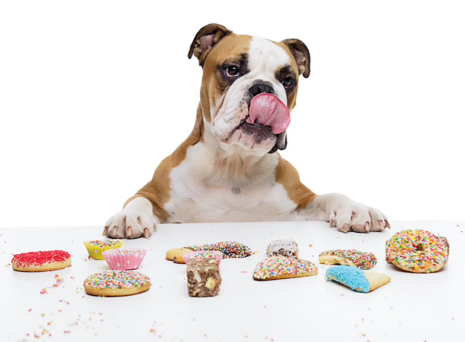 Pooch Treats Heart Biscuits