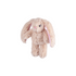 Kazoo Furries Long Eared Bunny
