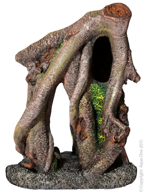 Ornament Buttress Roots Medium