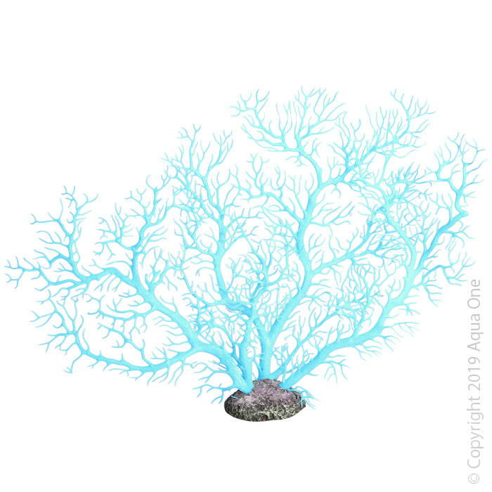 Copi Coral Fan Coral Blue 42.5x9.5x34.5cmh