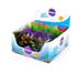 Mini Plants Assorted