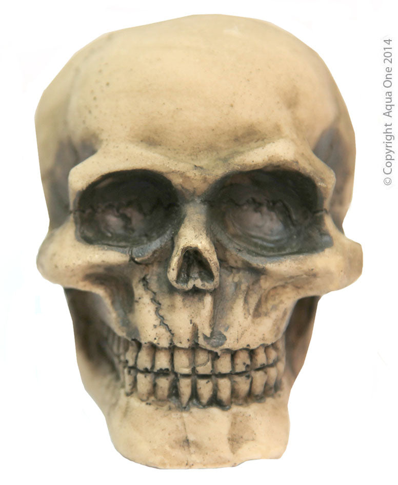 Ornament Skull M 9x7x7cm