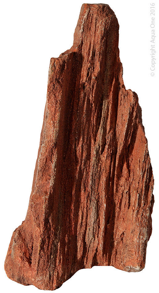 Ornament Petrified Wood