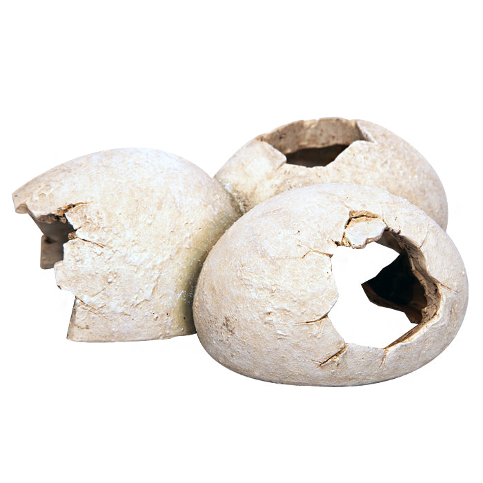 Ornament Dinosaur Eggs 15.5x12.5x6cm
