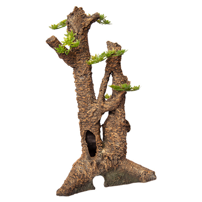 Ornament Umbrella Pine Stump Large 19.5wx16dx34cmh