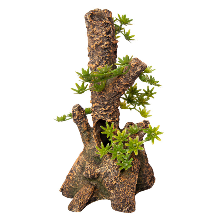 Ornament Umbrella Pine Stump Medium 15.5wx15dx28.5cmh
