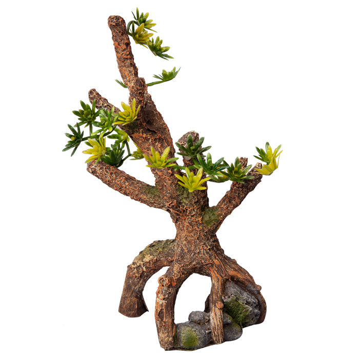 Ornament Umbrella Pine Sapling 13.5wx8dx20.5cmh