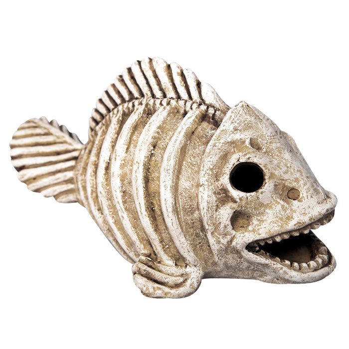 Ornament Bone Fish Large 12wx21.5dx12cmh