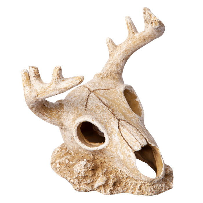 Ornament Deer Skull 14.5wx13.5x15.5cmh
