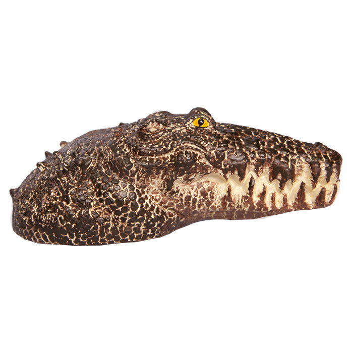 Ornament Crocodile Head Medium 6.5wx13.5dx4.5cmh