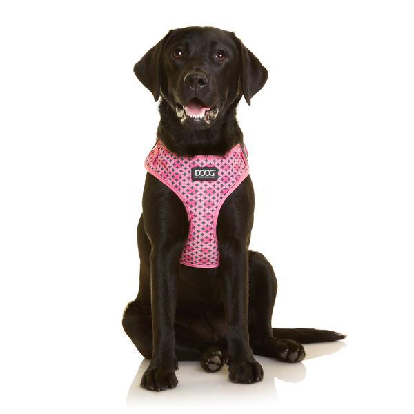 Doog Neoflex Harness Toto