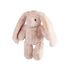 Kazoo Furries Long Eared Bunny